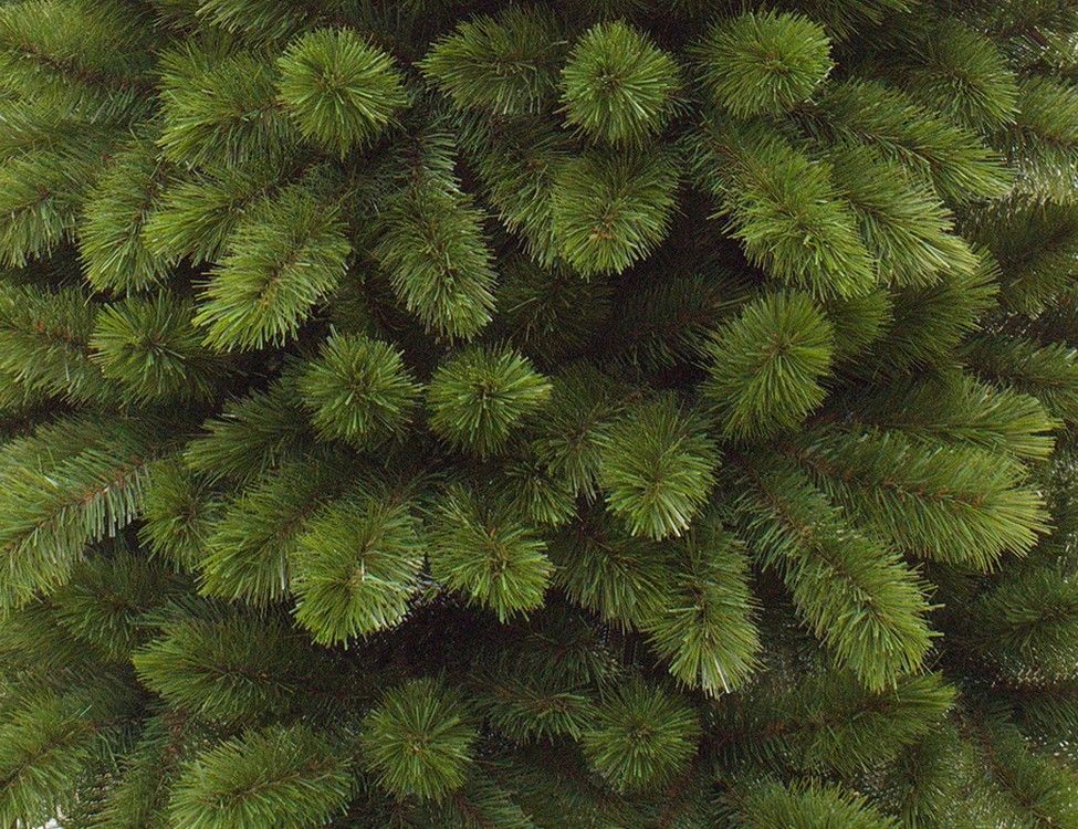 Triumph tree искусственные. Ель Триумф Норд пристенная. Хвоя леска. Хвойный угол. Хвоя леска ГРИНТРИЗ