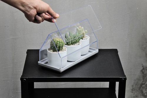 Лоток для выращивания растений micro green house прозрачный фото 5