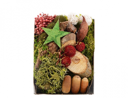 Декоративный набор "Лесной уют" (со звёздочкой), натуральные материалы, подарочная коробка, 14х20 см, Kaemingk