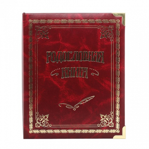 Подарочная книга - "Эстетика Подарков" - Родословная книга "Классическая вишневая", размеры: 24,5×31,5×5 см, материалы: бумага, картон, искусственная кожа, цвет: красный фото 3