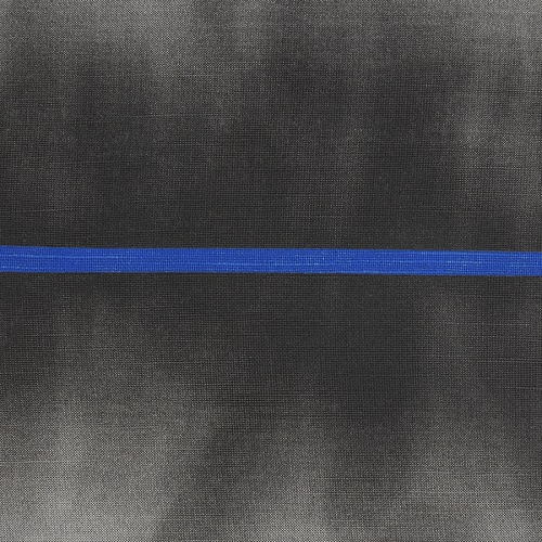 Чехол на подушку из хлопка из коллекции slow motion, electric blue, 45х45 см фото 5