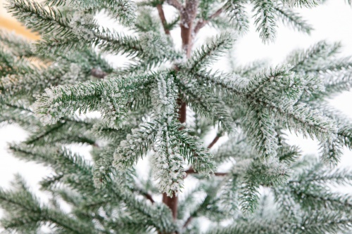 Искусственная ель РОНДА а в снегу, Crystal Trees фото 3
