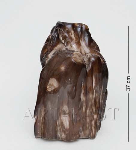 TB636 Камень древесный "Эпоха динозавров" 20 кг
