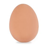Попрыгунчик egg