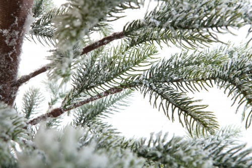 Искусственная ель БОЛЬЕРИ в снегу, Crystal Trees фото 5