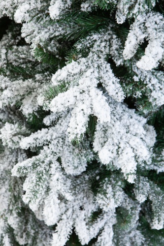 Искусственная ель Амати в снегу 210 см., Crystal Trees фото 2