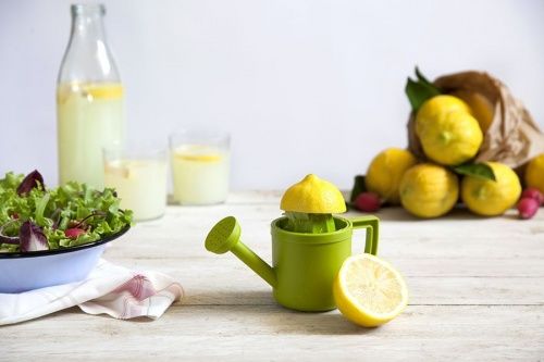 Соковыжималка для лимонов lemoniere, PE600 фото 13