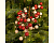 Декоративная ветка ЭСТЕТИК ШАРМ, цвет: красный, преламутровый, 60 см, Kaemingk/Winter Deco