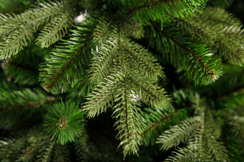 Искусственная Ель Амати, Crystal Trees фото 3