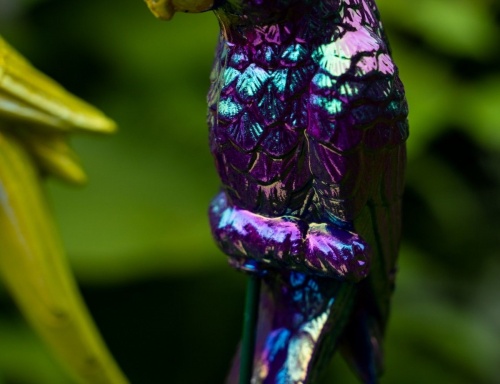 Садовый штекер "Фиолетовый попугай", пластик, 17x5x3 см, высота 60 см, Kaemingk фото 4