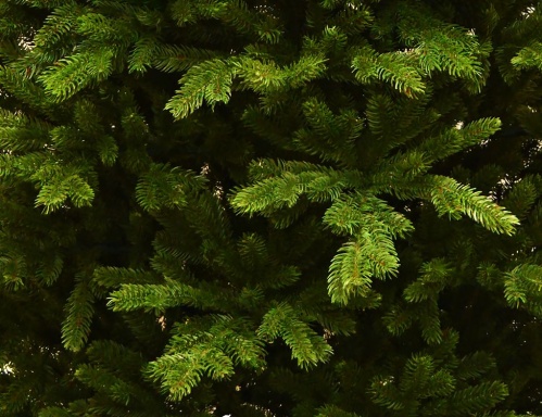 Искусственная елка Шервуд Премиум, "Литая" 100% (Triumph Tree) фото 4
