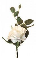Роза Лимбо с почкой  белая 30 см живое прикосновение (36 шт.в упак.)