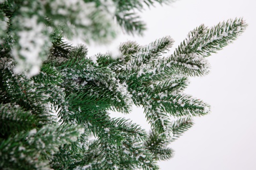 Искусственная ель Шотландия в снегу, Crystal Trees фото 4