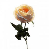 Роза Престиж шиповник розовая 68 см (24 шт.в упак.)