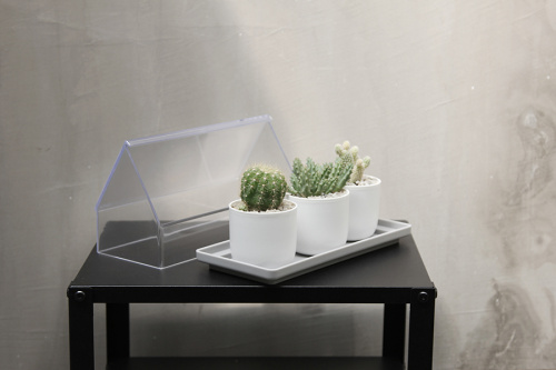 Лоток для выращивания растений micro green house прозрачный фото 3