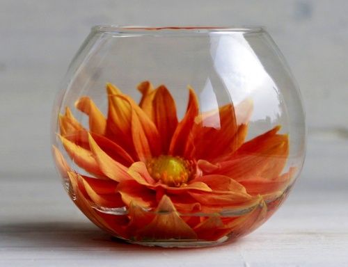 Стеклянная вазочка "Сфера очарования", 12 см, 4 SEASONS фото 3