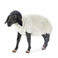 Суффолская овечка, 65 см, HANSA