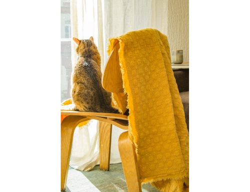 Покрывало на кровать COZY COTTON, 170х130 см, Kaemingk