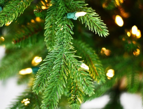 Искусственная ель "Мэриленд" в квадратном кашпо (литая хвоя PE+PVC), зелёная, 250 тёплых белых LED-огней, 152 см, A Perfect Christmas фото 3