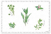 Салфетка под горячее Herbarium без инд.упаковки