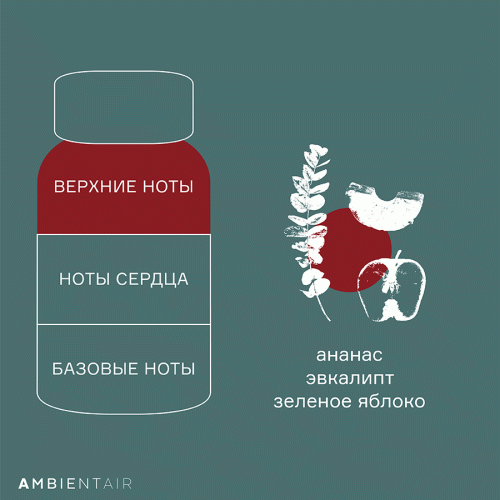 Диффузор ароматический gifting, Корица и яблоко, 100 мл фото 3