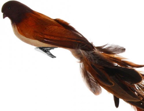 Украшение "Птица чокколи" на клипсе, перо, 55 см, SHISHI фото 2