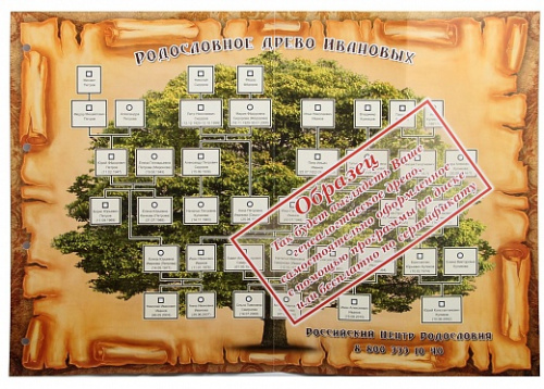 Подарочная книга - "Элегантные Страницы" - Родословная книга "Гербовая" в картонной коробке, материалы: бумага, картон, цвет: красный фото 11