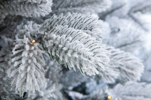 Искусственная ель  Мольвено в снегу с вплетенной гирляндой, Crystal Trees фото 3