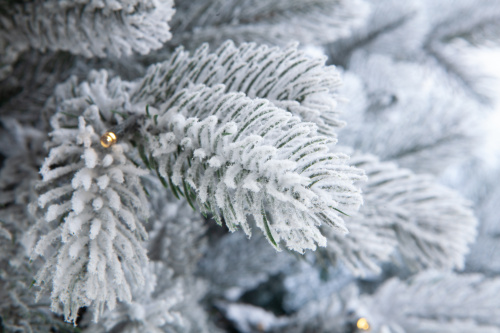 Искусственная ель  Мольвено в снегу с вплетенной гирляндой, Crystal Trees фото 2