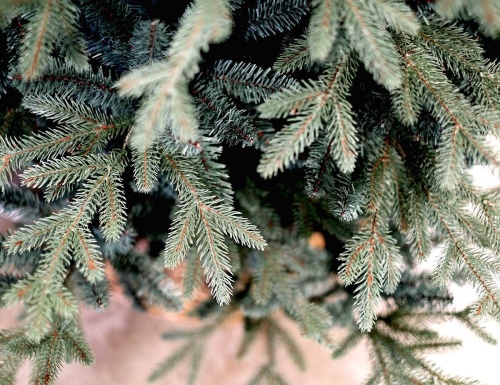 Искусственная ель Nebraska, голубая, хвоя - PE+PVC, A Perfect Christmas фото 4