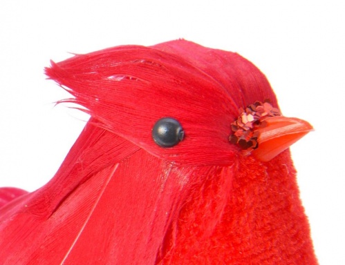 Ёлочная игрушка "Птичка кардинал" на клипсе, перо,  20x7x6 см, Kaemingk фото 2
