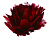 Декоративный цветок ХРИЗАНТЕМА - ПУШИСТОЕ СОЛНЫШКО на клипсе, перо, бордо, 12 см, Edelman
