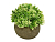 Искусственное растение в горшке BUSH BALL, пластик, зеленое с салатовым, 12х13 см, Kaemingk