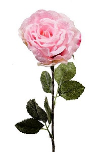 "Роза заснеженная" розовая, 45 см, KAEMINGK