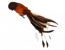 Ёлочная игрушка "Пташка милашка" на клипсе, перо, коричневая, 25 см, SHISHI