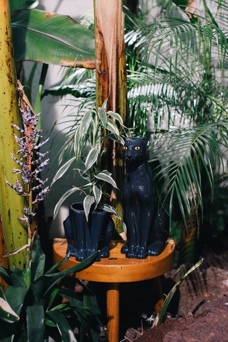 Горшок цветочный urban jungle panther фото 7