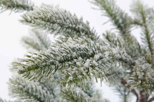 Искусственная ель БОЛЬЕРИ в снегу, Crystal Trees фото 2