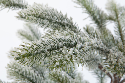 Искусственная ель БОЛЬЕРИ в снегу, Crystal Trees фото 2