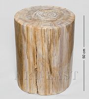 TB629 Камень древесный "Победивший стихии" 126 кг
