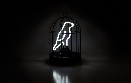 Светильник неоновый bird in a cage фото 3