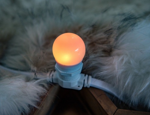 Светодиодная лампа для Белт-лайта Rich LED, d-45 мм, 1 Вт, Е27, Rich LED фото 4