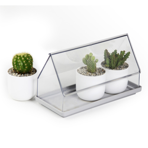 Лоток для выращивания растений micro green house прозрачный фото 6