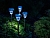 Садовые светильники Solar ЛЮККО на солнечной батарее, холодный белый LED-огонь, 24 см (4 шт.), Kaemingk (Lumineo)