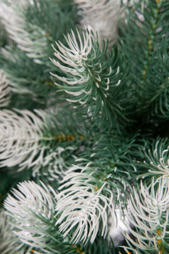 Искусственная Сосна Швейцарская снежная, Crystal Trees фото 3