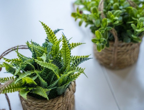 Искусственное растение COZY GREENS в подвесном джутовом кашпо, пластик, 8х12 см, Kaemingk фото 2