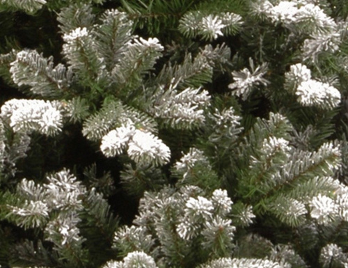 Искусственная ель "Шеффилд" заснеженная, (литая хвоя РЕ+PVC), National Tree Company фото 3