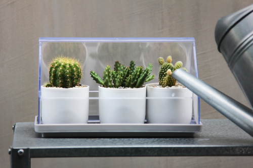 Лоток для выращивания растений micro green house прозрачный фото 4