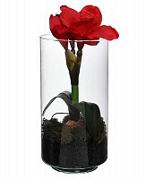 "Амариллис" в стеклянном стакане, красный, 30 см, Edelman