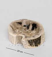 TB637 Камень древесный "Миллионы колец"