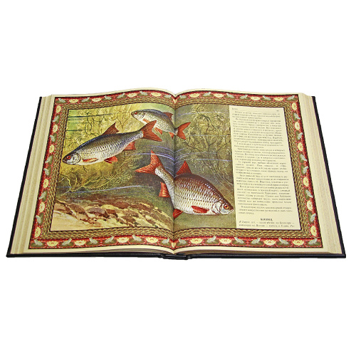 Книга «Русская рыбалка» фото 10